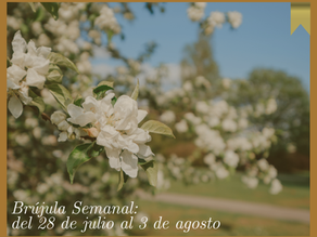 Brújula | Semana del 28 de julio al 3 de agosto : Renacer desde la herida, renacer con palabras