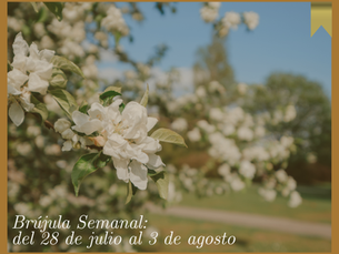  Brújula  | Semana del 28 de julio al 3 de agosto : Renacer desde la herida, renacer con palabras