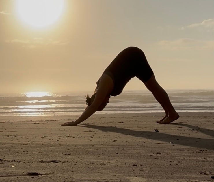 Yoga Teacher Training Informational 