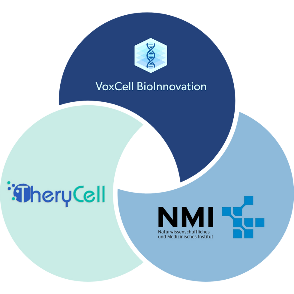 European Collaboration for Advancing Immunotherapies with VoxCell's 3D Tumor Models