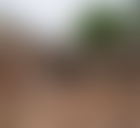 Photo Source: © Rian Cope/AFP via Getty Images