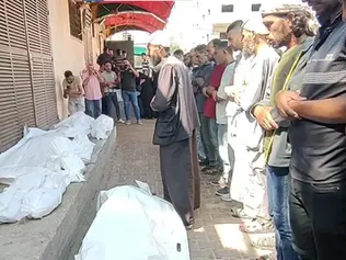 Children Queuing for Supplements Killed in Israeli Strike in Gaza