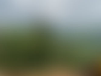 “We Are Being Massacred”: Overlooked War Crimes in the DRC