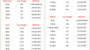 Market Report 07.20.2026