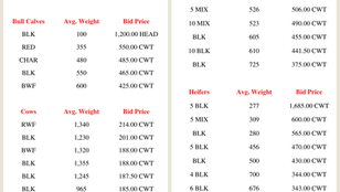 Market Report 04.06.2026