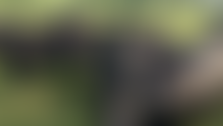 MARKET REPORT FOR 8/18/21