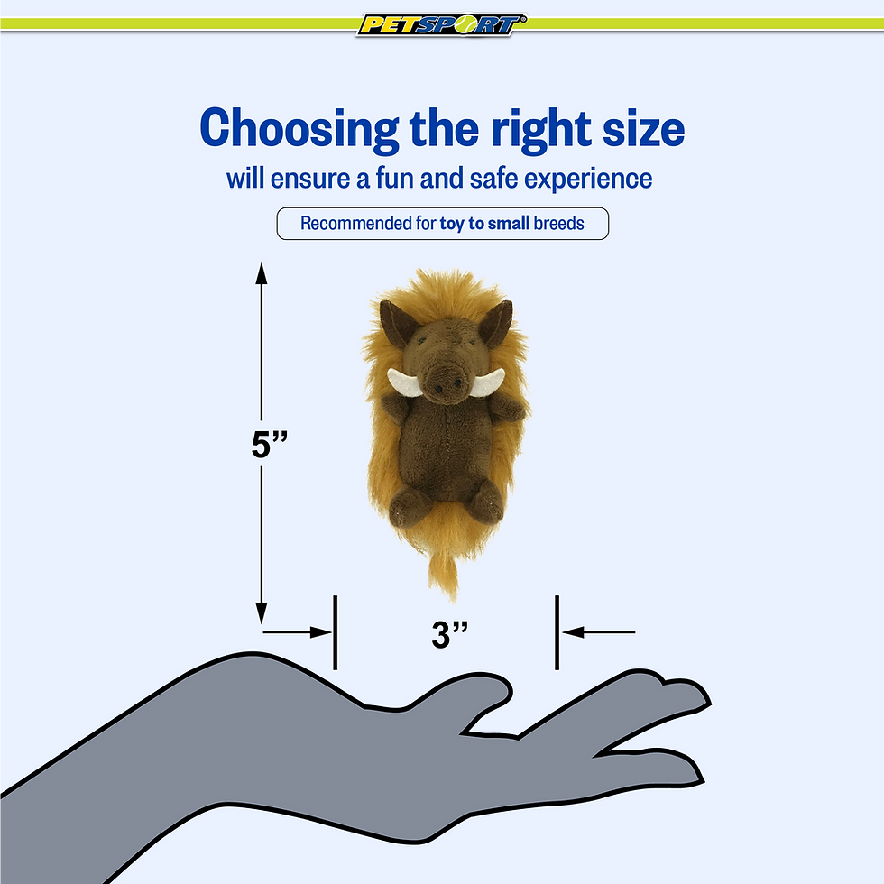 Thumbnail: Hedgehog plush toy above hand, choosing right size, recommended for small breeds.
