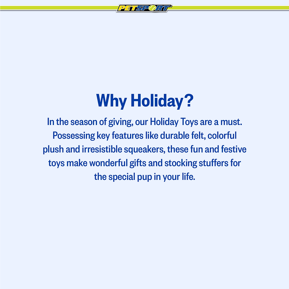 Thumbnail: Text "Why Holiday?" Holiday Toys make wonderful gifts for your pup.