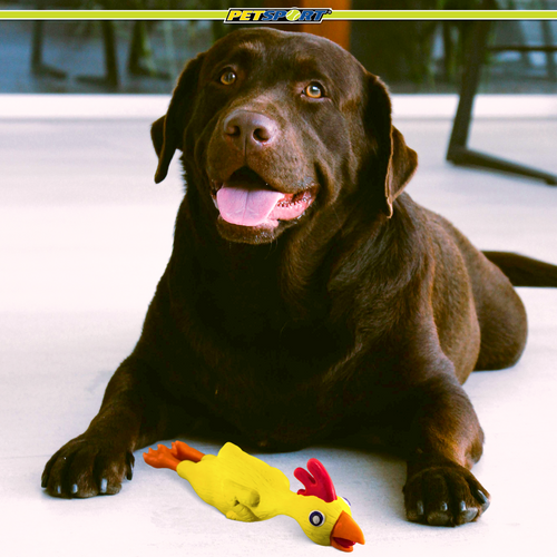 18051 Naturflex Medium Chicken 9.25