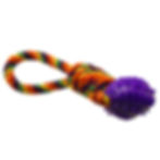 Colorful braided rope dog chew toy with a purple spiky ball end.