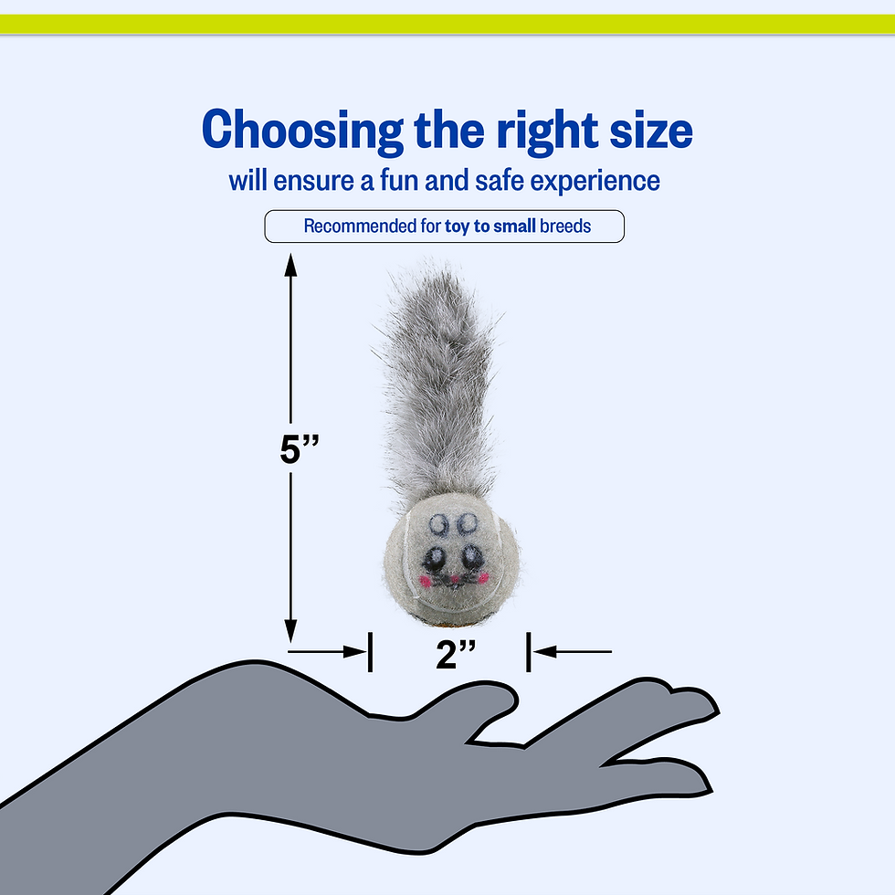 Thumbnail: Pet toy "Recommended for small breeds" with dimensions 6", 2" in hand.