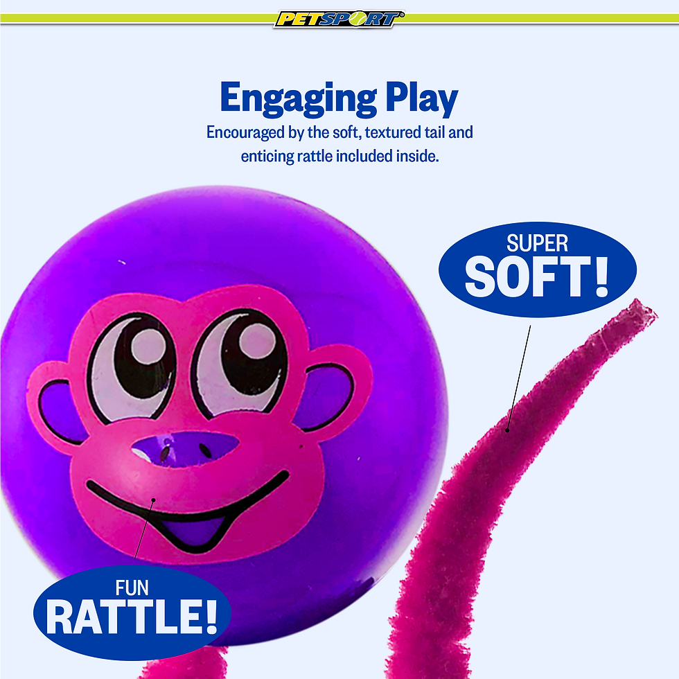 Thumbnail: Purple monkey toy, "Engaging Play", "SUPER SOFT!", "FUN RATTLE!"