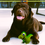 Thumbnail: Brown Labrador dog lying with green dinosaur toy, WCBC logo above.