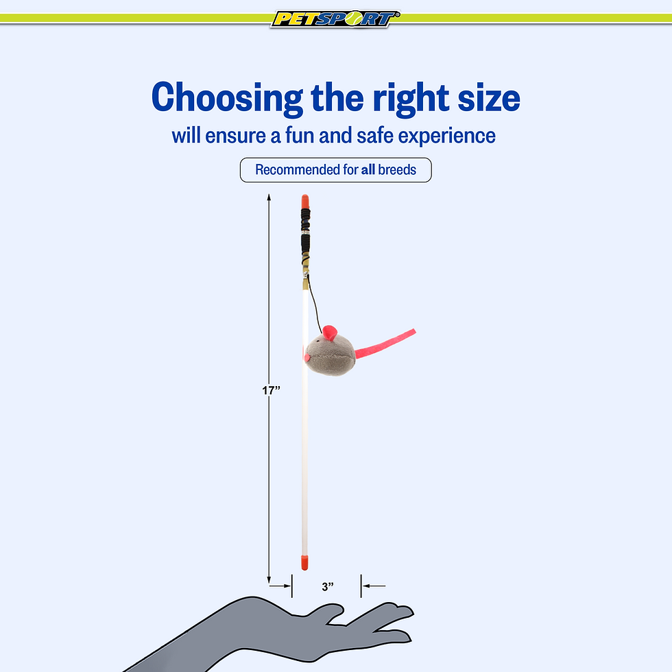 Thumbnail: Choosing the right size will ensure a fun and safe experience.