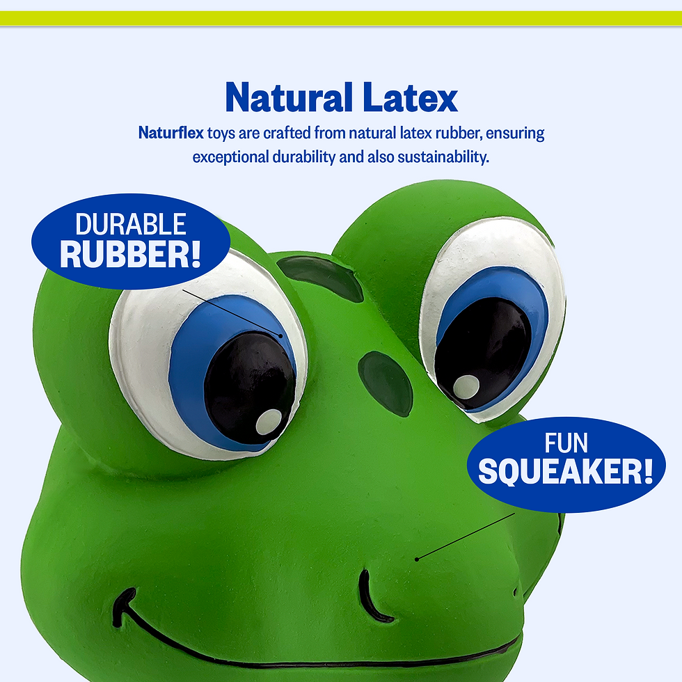 FROG productps トイブリック　カヌー FROG productps トイブリック カヌー