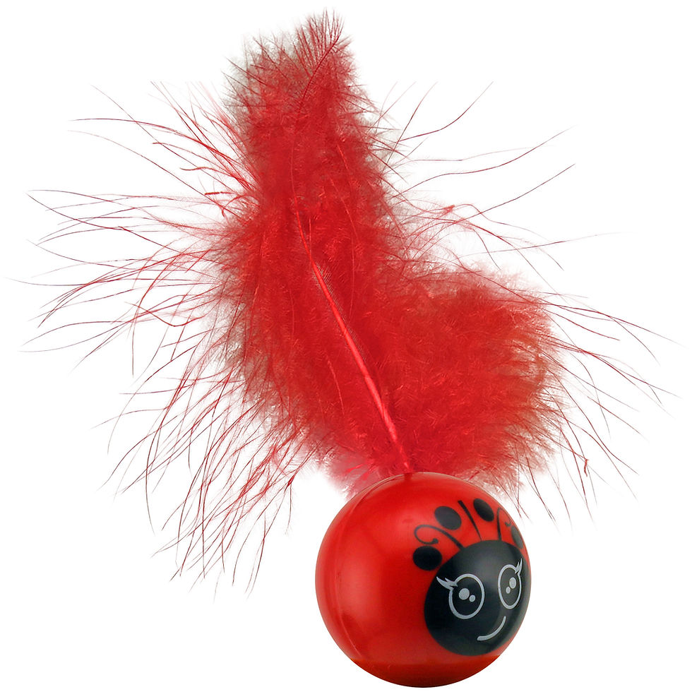Thumbnail: Red ball with ladybug face and red feather, pet toy