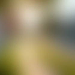 HOA Rules and Legal Compliance: Why Professional Management Matters