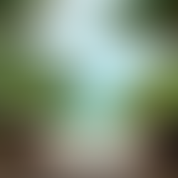 Why Belize Is Your Must‑Visit Destination for Christmas 2025