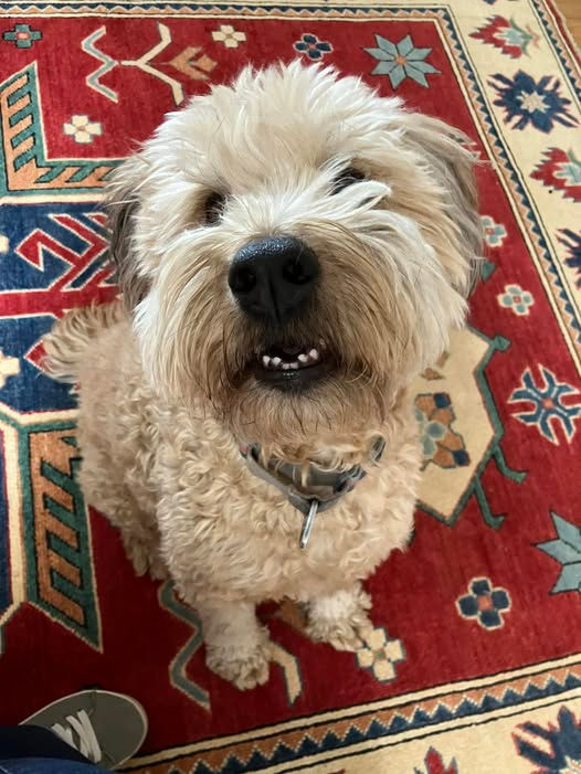 632293632_25845834321694352_4325749021223346855_n