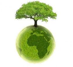 ecologie2_300_276