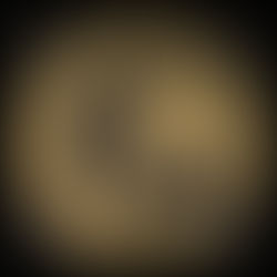 Migrace znovu v rozběhu...