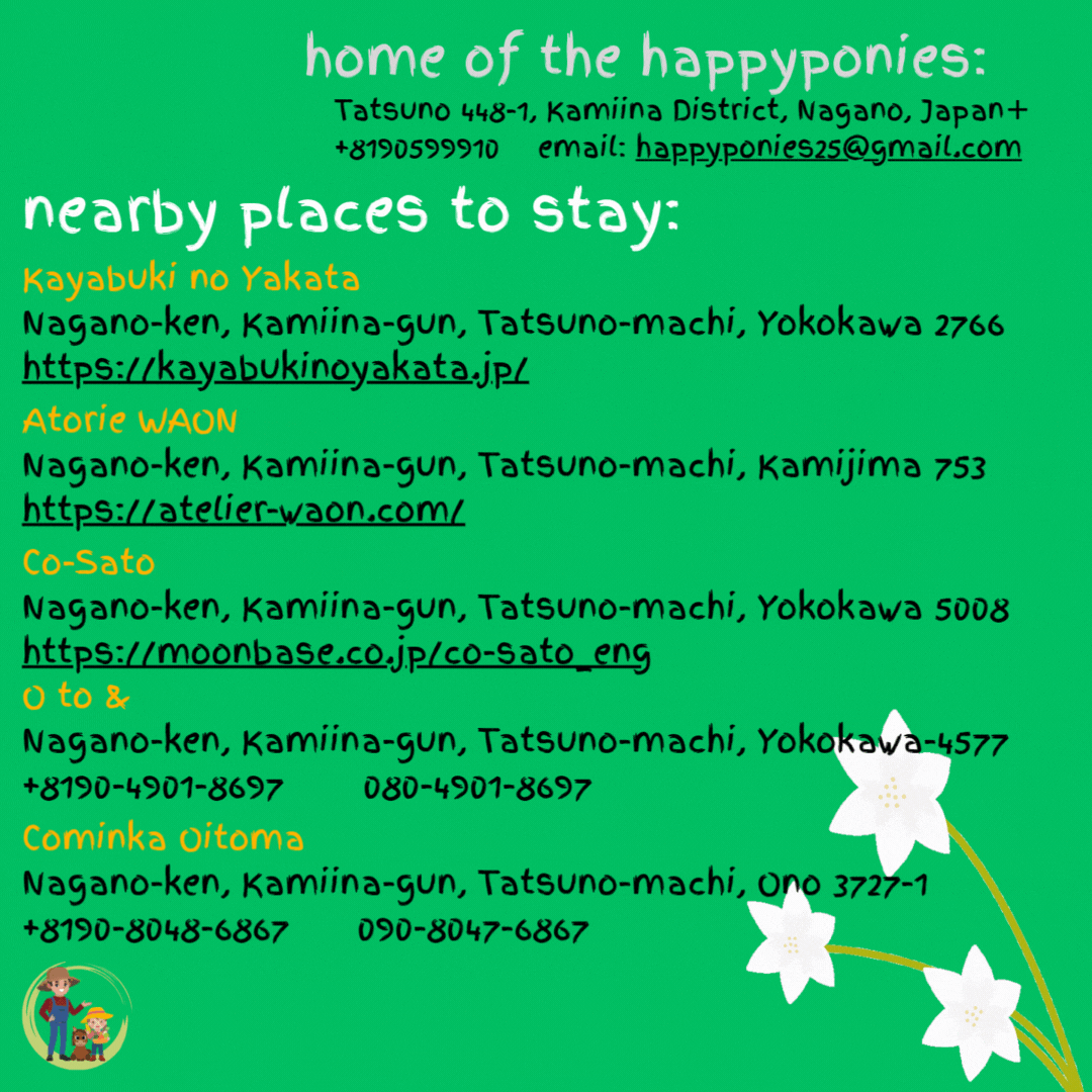 happyponies posts.gif
