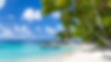 20230323-Grenadines 2022-185.jpg
