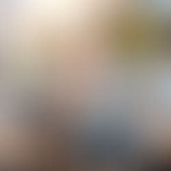 Grades 5 in Action at PYPx Exhibition and Closing Night