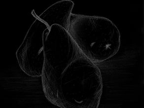 WHAT GOES INTO A PRODUCT COLLECTION