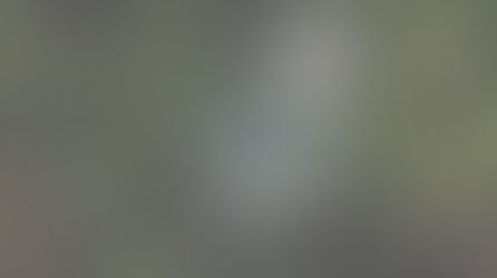 SMALL BUSINESS WEBSITE STRATEGY: HOW CUSTOMERS ACTUALLY FIND YOUR BUSINESS ONLINE