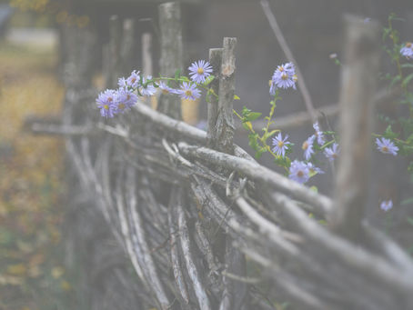 fence with flowers, visually calming to remind you that selling is simply sharing the value you provided