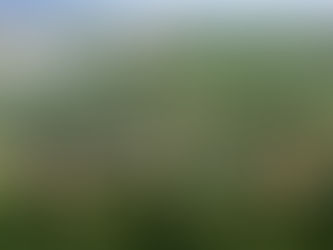 Escape to a Beautiful Life in Santa Maria, Bulacan with Camella Belterre