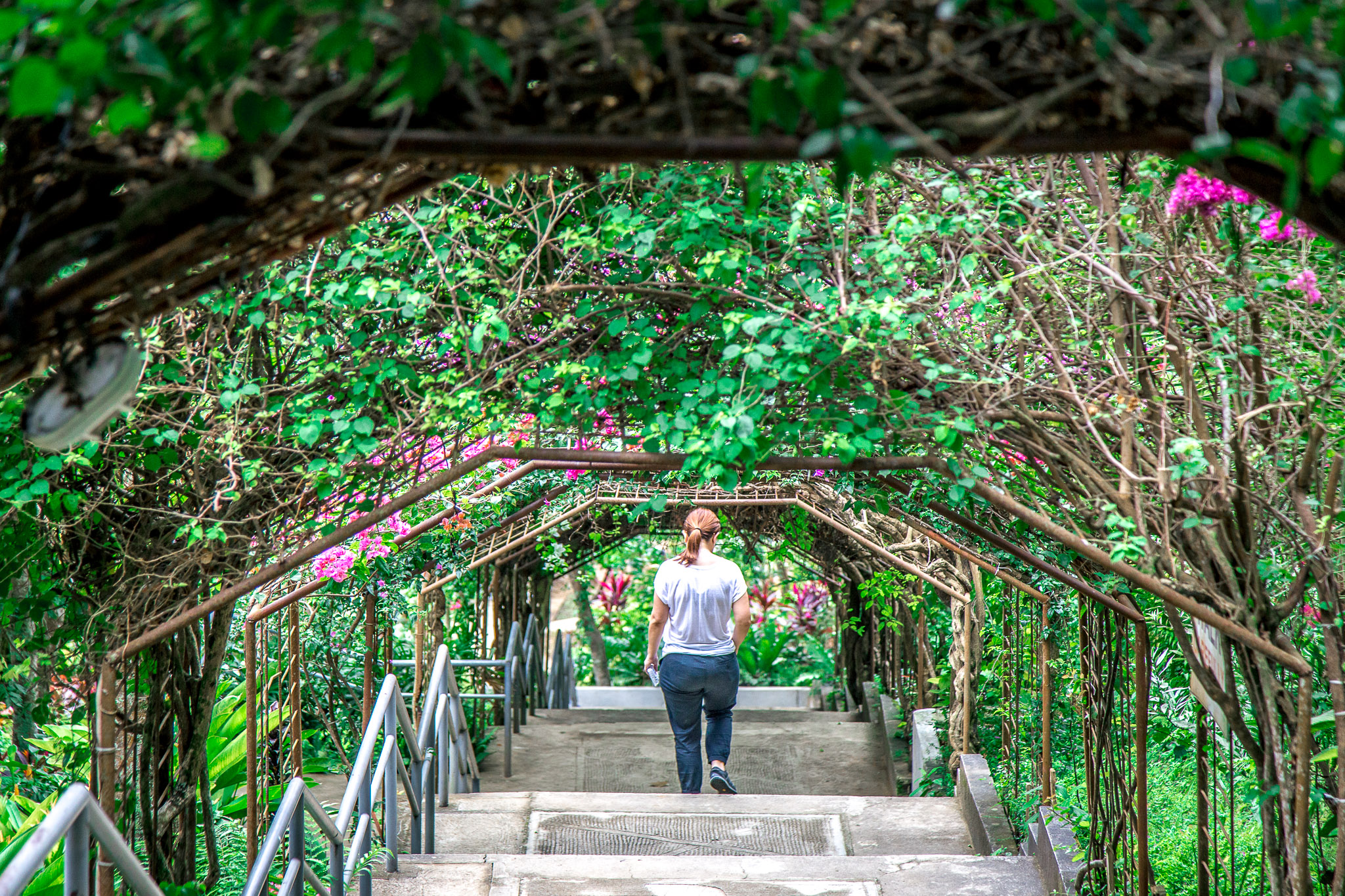 Garden Steps