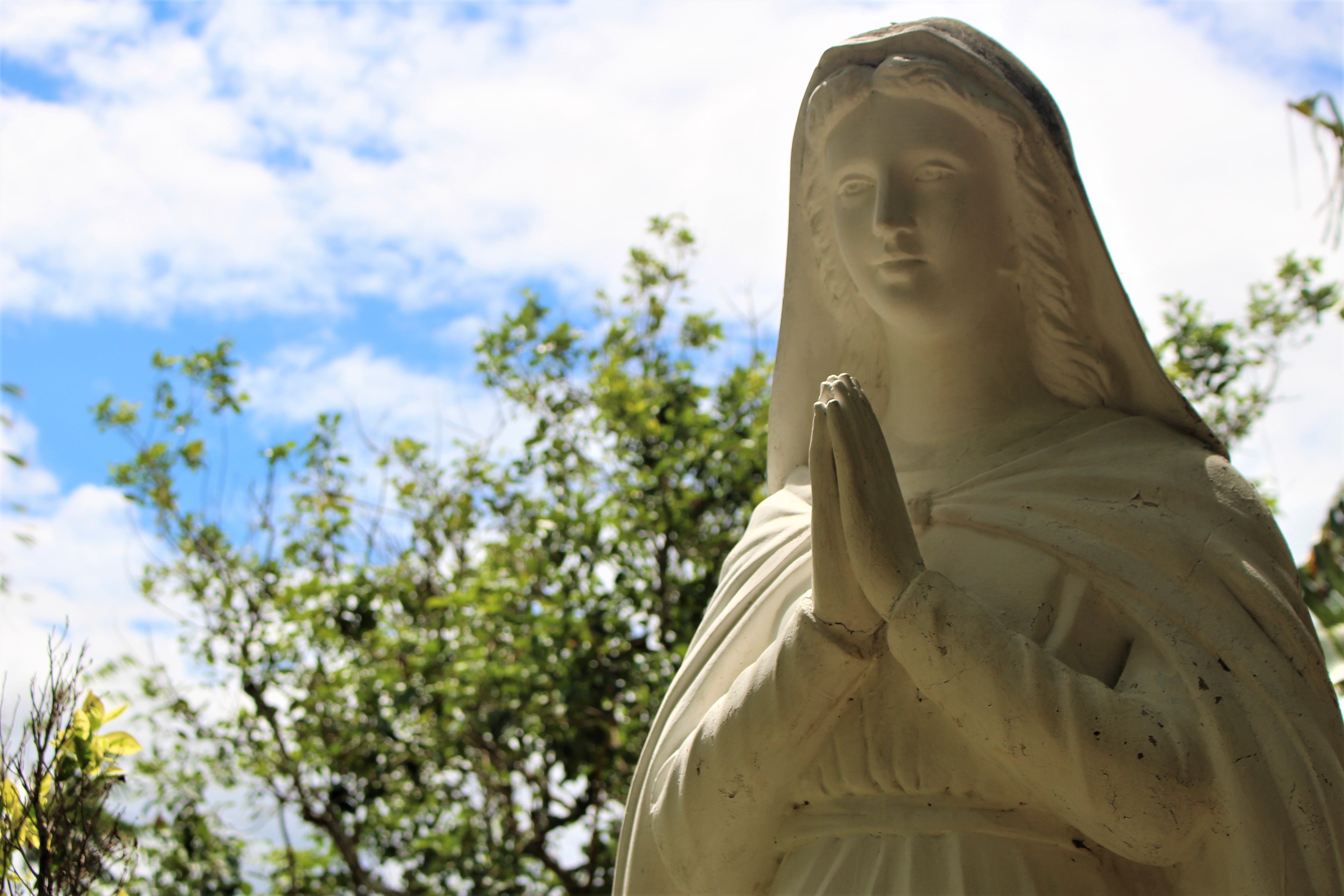 Welcome to The Marian Orchard!