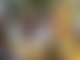 ലഹരിക്കെതിരെ കലാ പ്രതിരോധമൊരുക്കി ജില്ലാ ഭരണകൂടം - ശ്രദ്ധേയമായി ഭീമൻ കാൻവാസ്