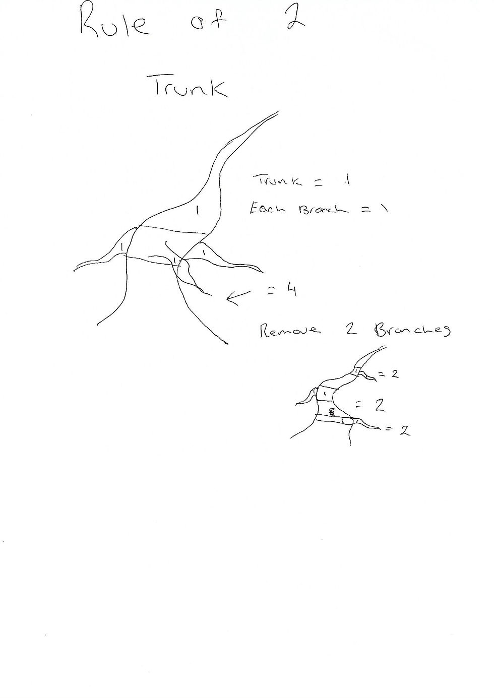 Bonsai Taper , Bonsai Design