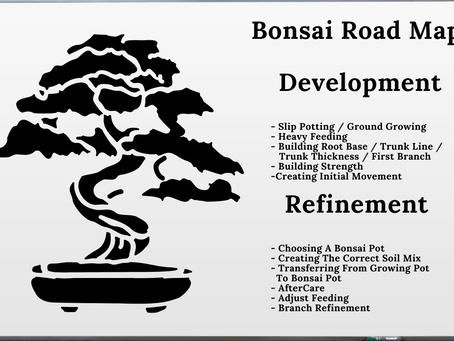 Detailed Road Map To Creating Proper Bonsai