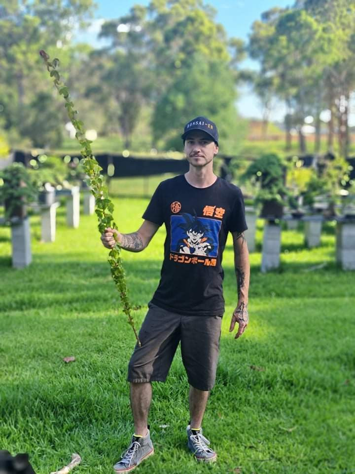 Sacrifice Branching Bonsai