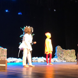 Saltimbancos 4