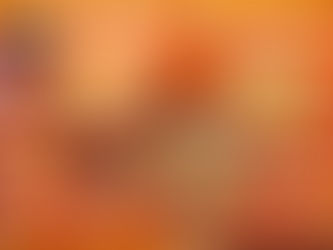 平日限定のパスタランチが登場！！