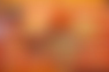 平日限定のパスタランチが登場！！