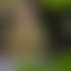 Your Breath Is Telling You Something (Are You Listening?)