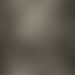 L'ART DE RÉUSSIR SES MENSONGES : ARENDT