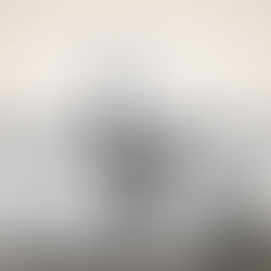 NIETZSCHE : LA SPIRITUALISATION DES PULSIONS