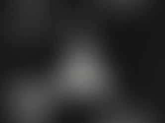 QU'EST-CE QUE L'ONTOLOGIE ?