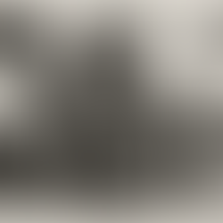 DESCARTES : LE DUALISME