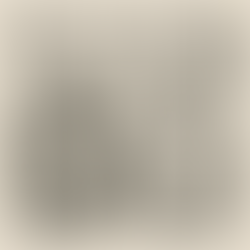 PLATON ET LE RELATIVISME