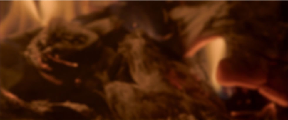 Orange%20Blossoms%20Header_edited.jpg