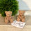 Thumbnail: Teddy Bears - 2 pcs - Candle Wax Embed