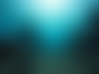 Discover the Top Diving Spots in Ponta Delgada